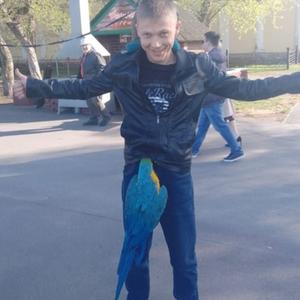 Виталий, 33 года, Кемерово