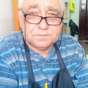 Сергей Голубенко, 68 лет, Ростов-на-Дону