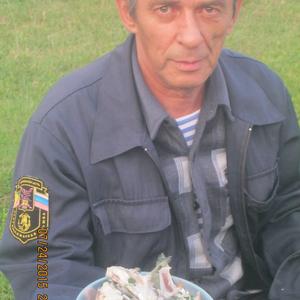 Владимир, 66 лет, Хилок