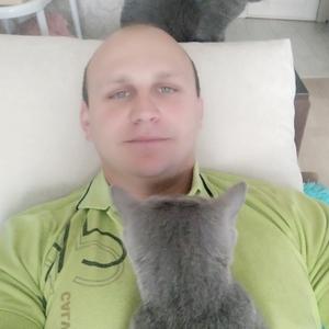 Парни в Вологде: Александр Зайцев, 35 - ищет девушку из Вологды