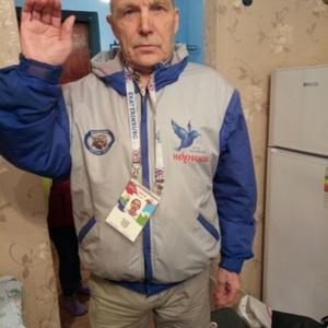 Парни в Екатеринбурге: Владимир Стихин, 74 - ищет девушку из Екатеринбурга