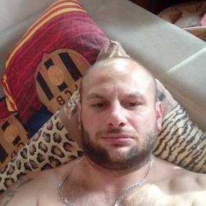 Ilya Simson, 44 года, Химки