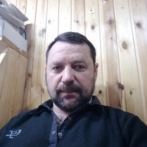 Николай, 51 год, Оленегорск