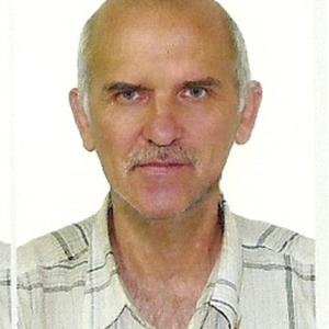 Александр, 72 года, Москва