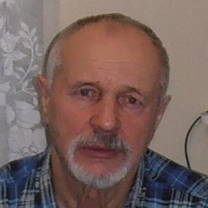 Владимир, 68 лет, Минусинск