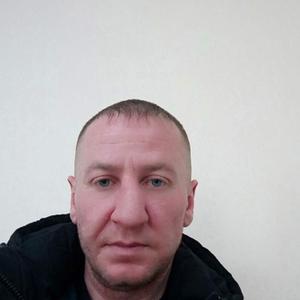 Aleksei, 42 года, Барнаул