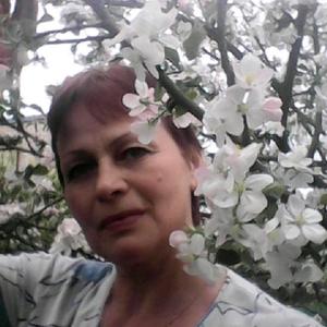 Галина, 64 года, Малая Вишера