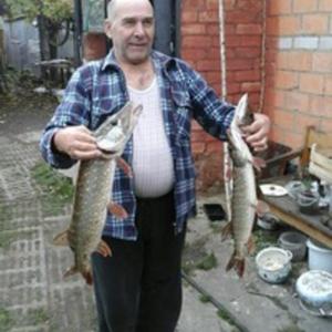 Виктор, 69 лет, Балашиха