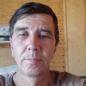 Дима, 42 года, Владивосток