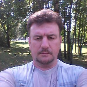 Алик, 44 года, Псков