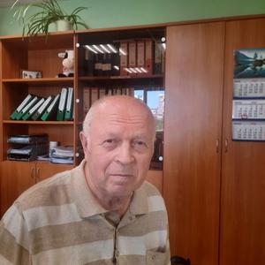 Владимир, 72 года, Санкт-Петербург