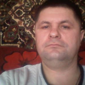 Игорь Степовой, 51 год, Южноуральск