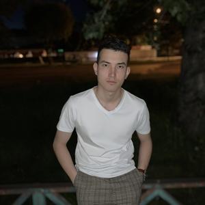 Дмитрий Король, 26 лет, Кемерово
