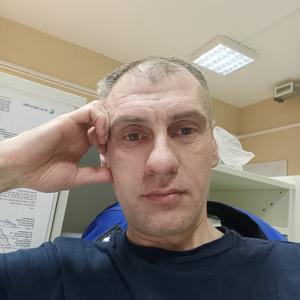Олег, 43 года, Кингисепп