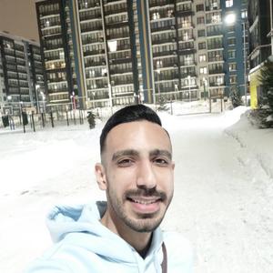 Seyed Mahdi Hosseini, 28 лет, Казань