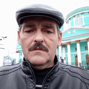 Андрей Лебедев, 53 года, Курск