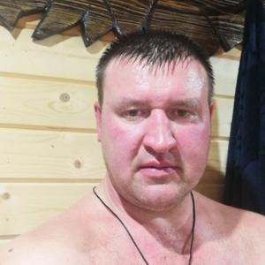 Дмитрий, 42 года, Абрамцево