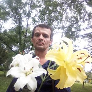 Владимир, 45 лет, Новокузнецк
