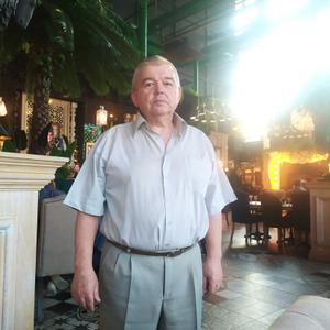 Владимир, 68 лет, Адлер
