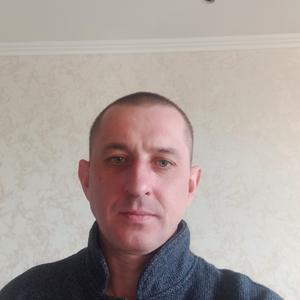 Александр, 41 год, Могилев