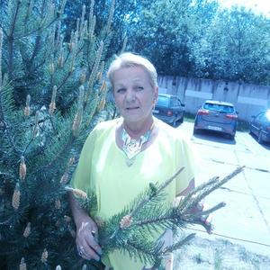 Людмила Родина, 72 года, Калининград