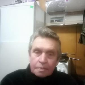 Владимир, 76 лет, Санкт-Петербург