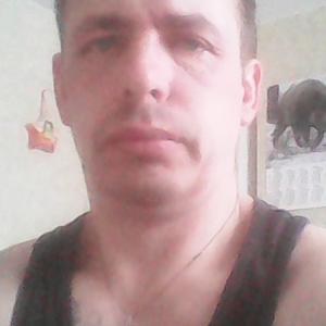 Алексей, 43 года, Сокол