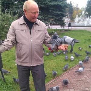 Парни в Волгограде: Михаил, 54 - ищет девушку из Волгограда