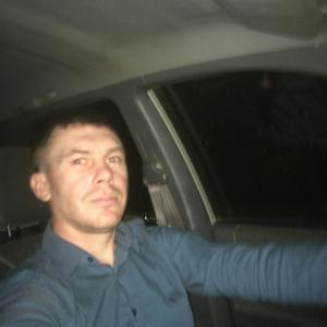 Николай, 41 год, Сочи