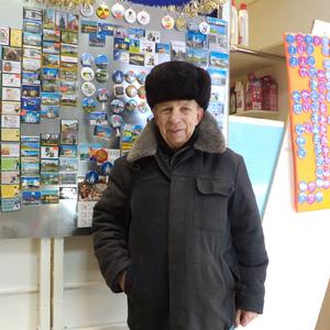 Владимир Марков, 75 лет, Санкт-Петербург