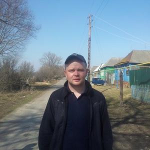 Виталий Буданцев, 37 лет, Курск