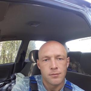 Николай, 39 лет, Кадом