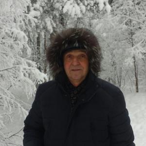 Парни в Мончегорске: Анатолий, 71 - ищет девушку из Мончегорска