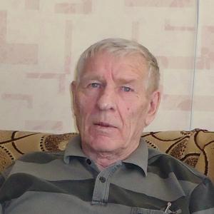 Saha Maksimov, 80 лет, Дальнегорск