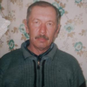 Виктор, 70 лет, Волгодонск