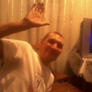 Владимир, 42 года, Алтай
