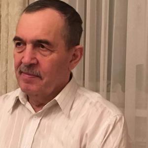 Сергей, 70 лет, Сургут