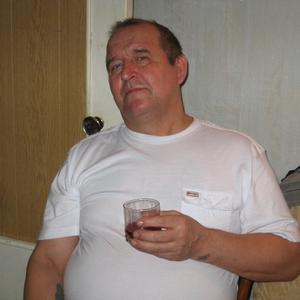 Сергей Бабушкин, 66 лет, Каменск-Уральский