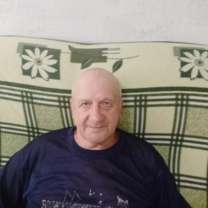 Николай, 68 лет, Устюжна