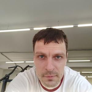 Андрей, 39 лет, Радужный