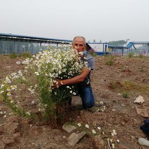 Андрей, 56 лет, Магадан