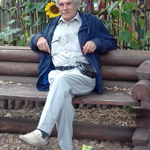 Вова, 63 года, Красноярск