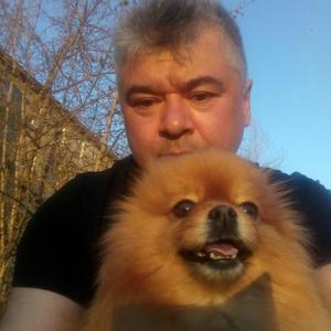 Парни в г. Березники (Пермский край): Дмитрий, 52 - ищет девушку из г. Березники (Пермский край)