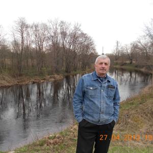 Парни в Великий Новгороде: Анатолий Петров, 72 - ищет девушку из Великий Новгорода