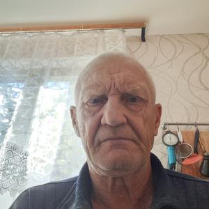 Геннадий, 56 лет, Саратов