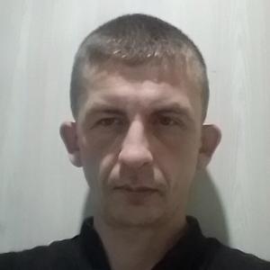Юрий, 43 года, Тольятти