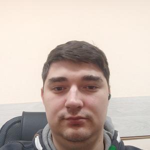 Илья Песков, 29 лет, Могилев