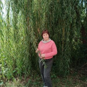 Елена, 51 год, Вологда