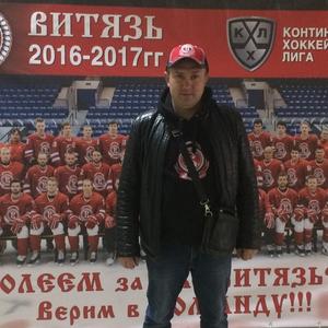 Андрей Похил, 43 года, Подольск