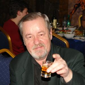 Сергей Вольхин, 68 лет, Белоярский